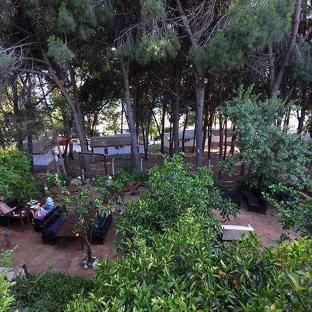 Bed & Breakfast Wind Heaven Garden *