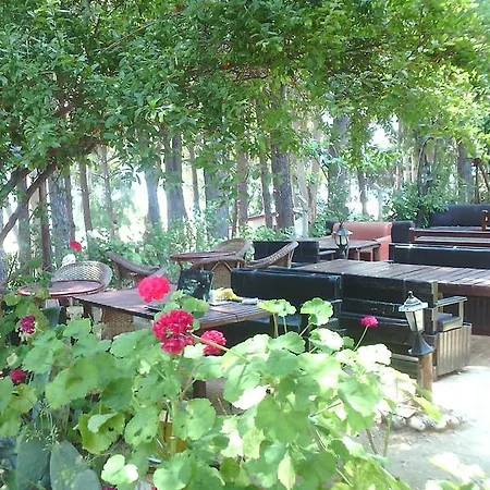 Wind Heaven Garden