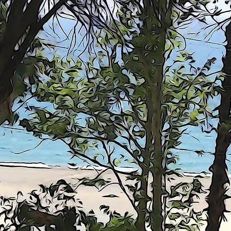 Wind Heaven Garden